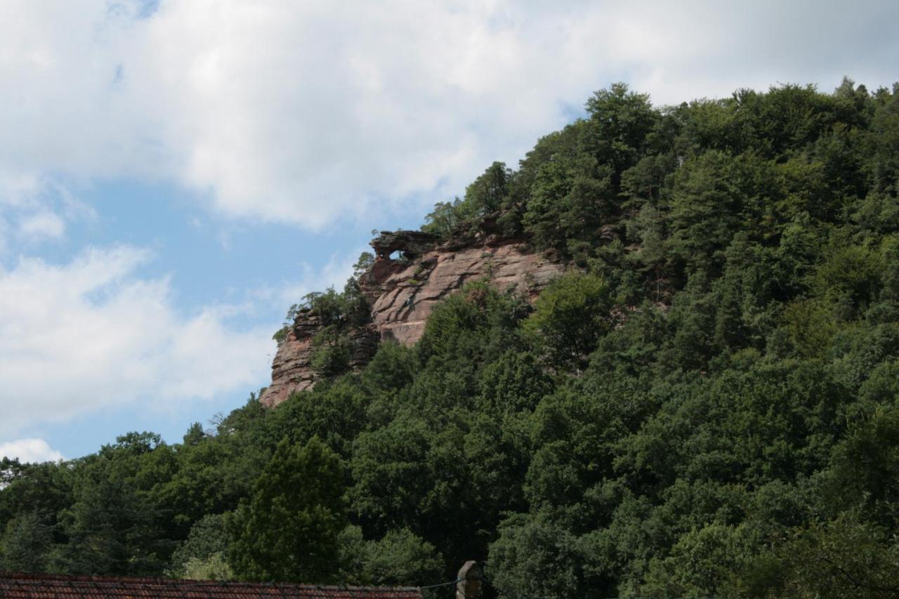 Chambre D'Hotes Petit Arnsbourg Obersteinbach Zewnętrze zdjęcie