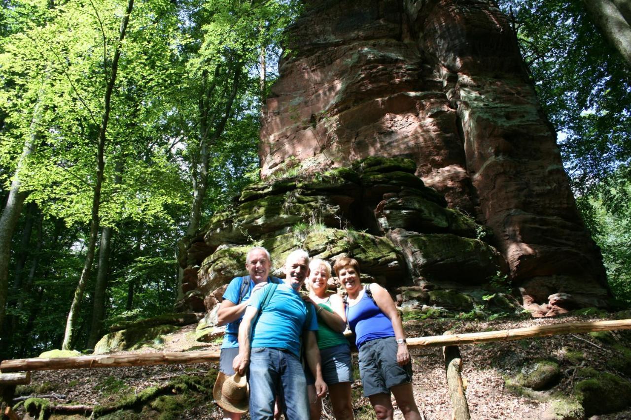 Chambre D'Hotes Petit Arnsbourg Obersteinbach Zewnętrze zdjęcie